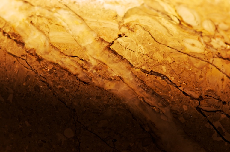 1251 - Fossil Faults