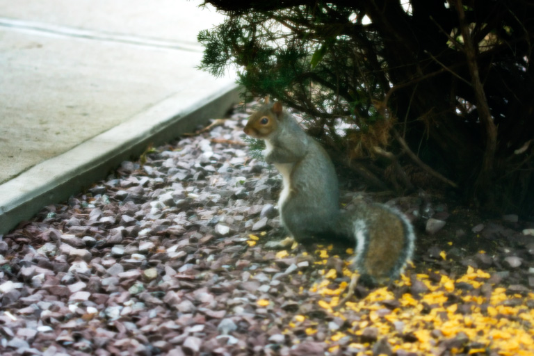 400 - Guilty Pleasures