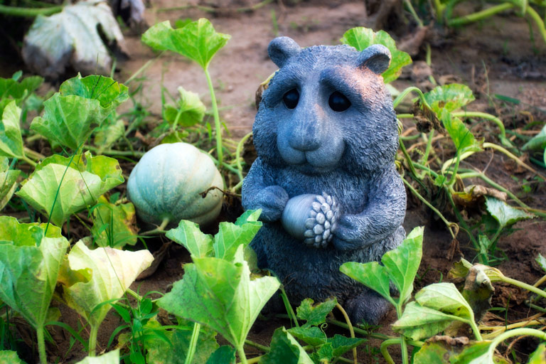 355 - Garden Critter