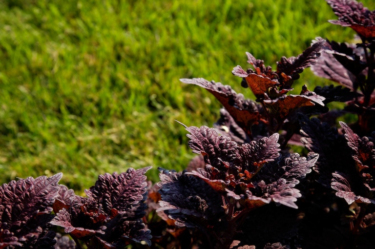 1098 - Greet the Day