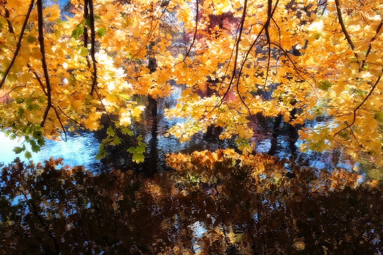 3030 - Holding On Over Water