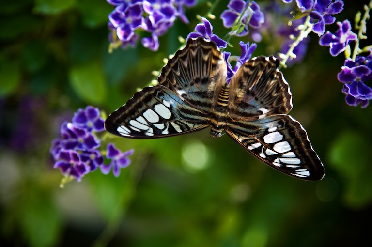 1347 - Hanging Around