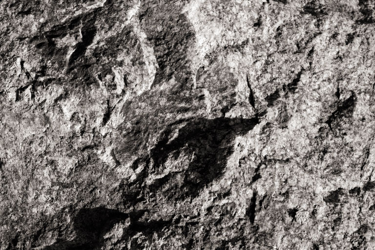 361 - Imagined Landscape