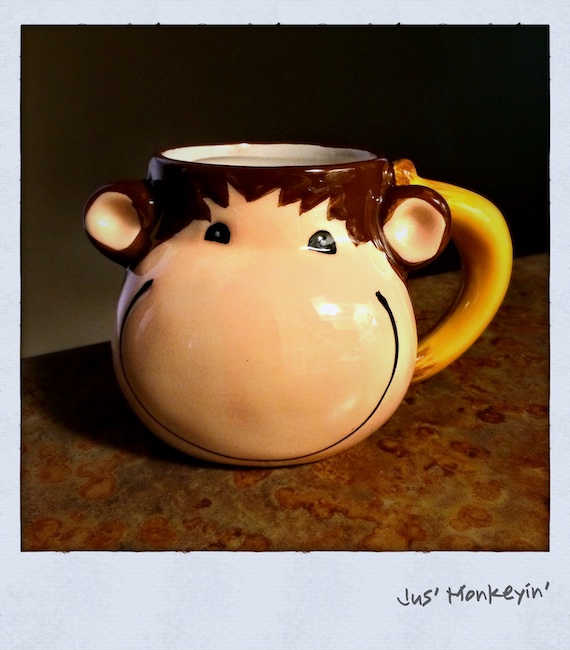 3041 - Jus' Monkeyin'