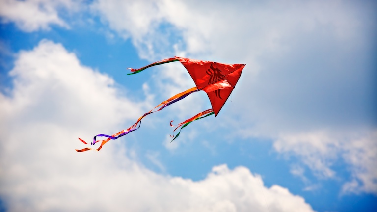 1353 - Kite Flight
