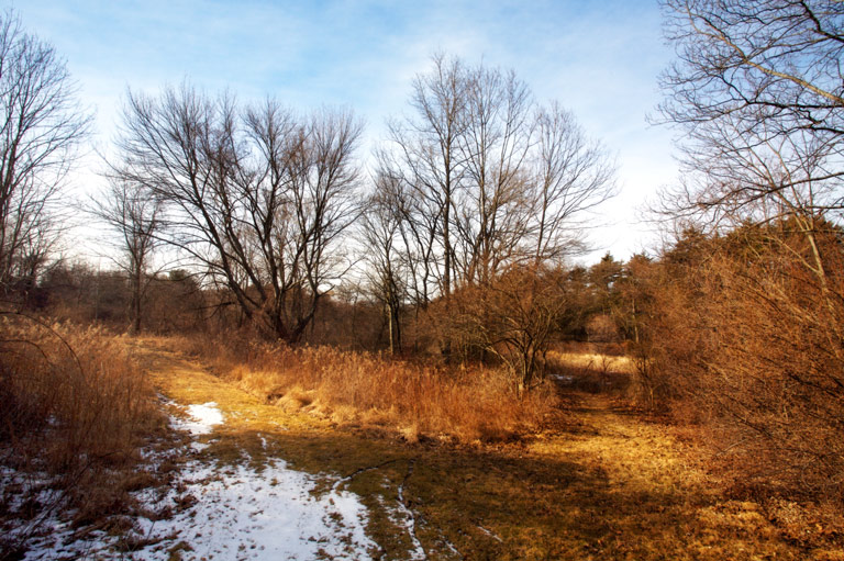 884 - Return to the Elbow