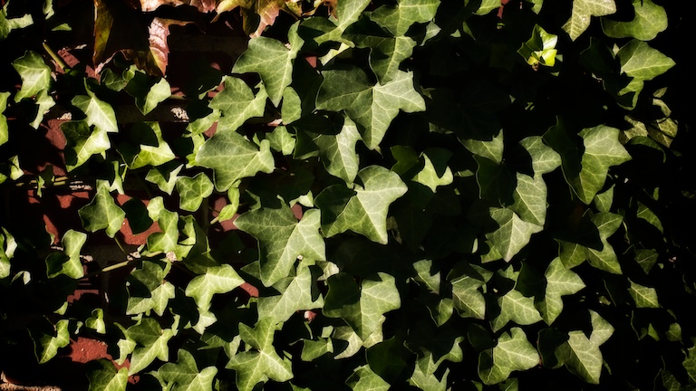 1429 - Location Appropriate