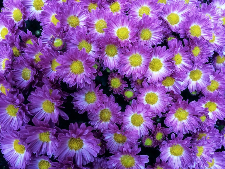 3008 - Electric Mums