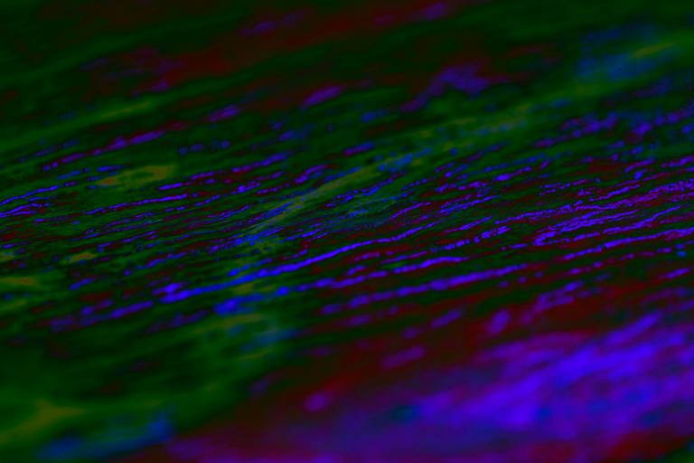 632 - Electric Traces