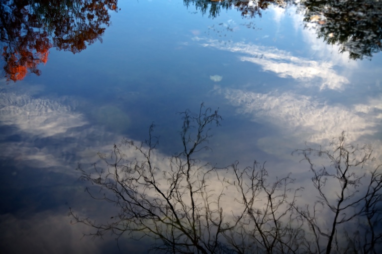 1165 - Looking Down, Looking Up