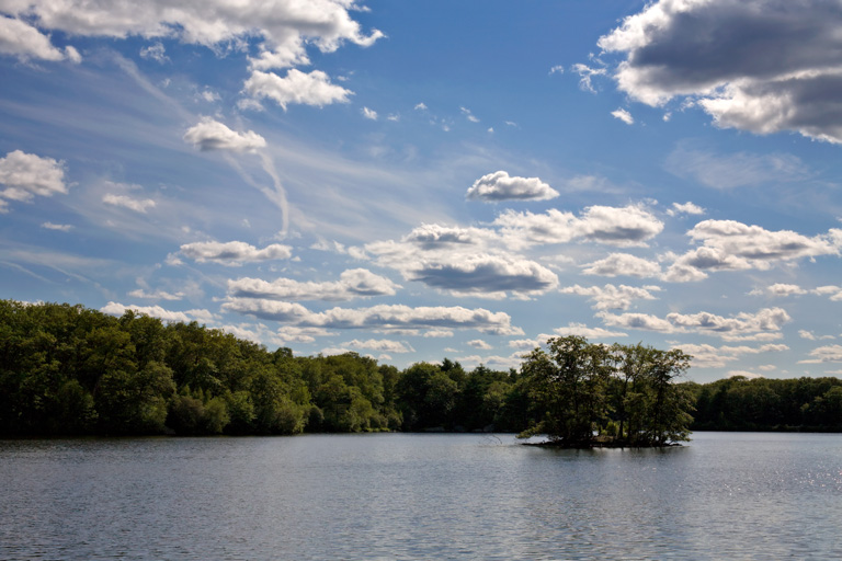 701 - Looking Lakeside