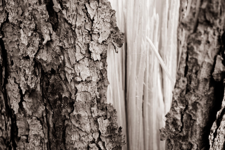 522 - Elements' Evidence