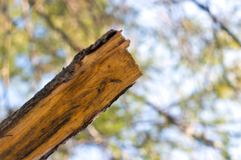 212 - Keeping a Low Profile