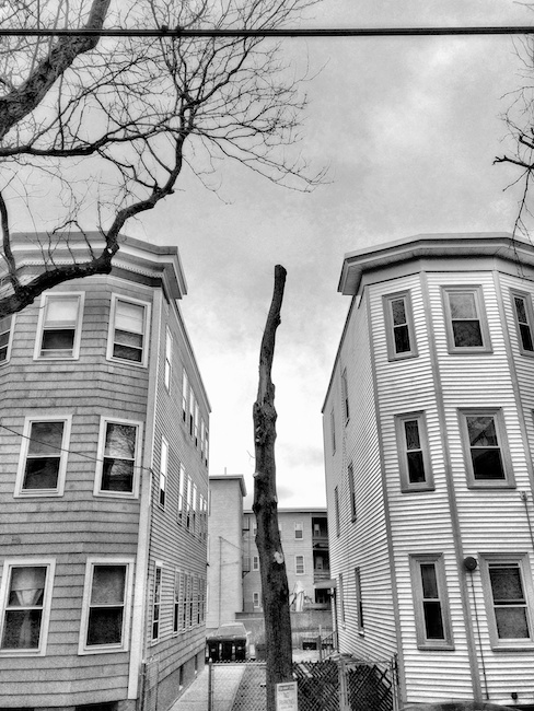 3082 - Last Legs (Tree Work)