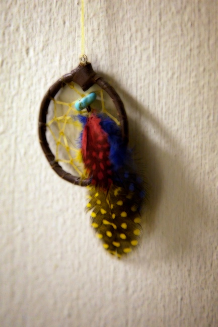 1181 - Little Catcher