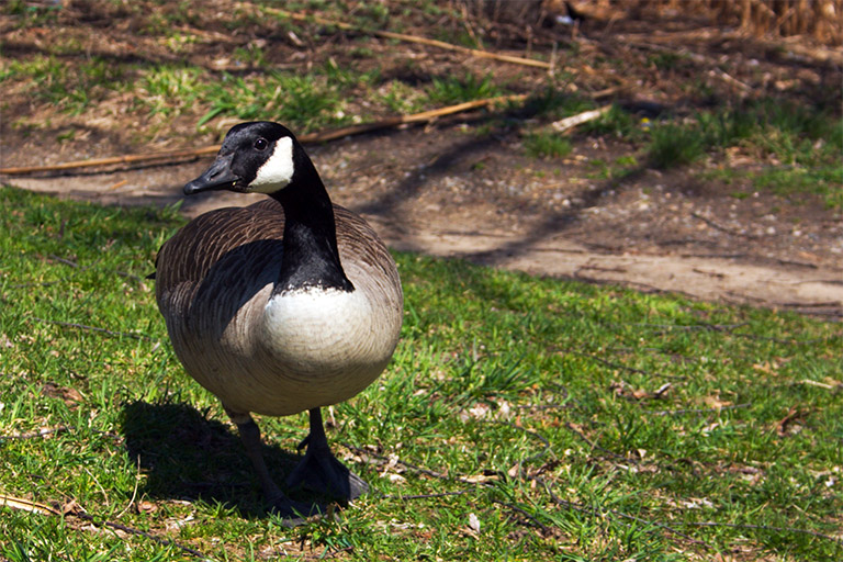 206 - Lunch Interrupted