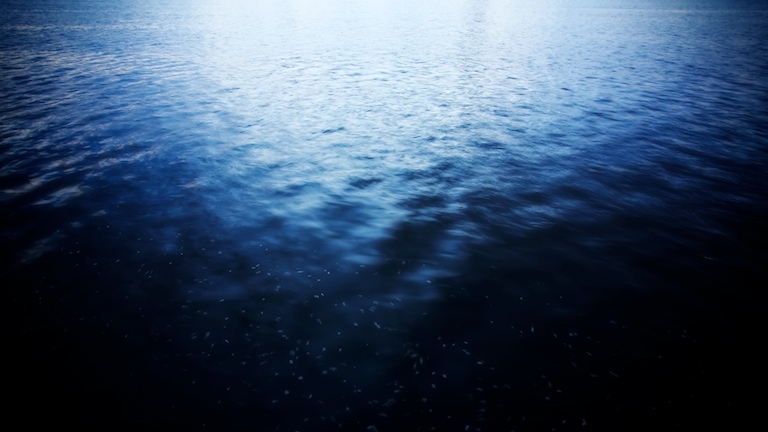 1365 - Love That Dirty Water