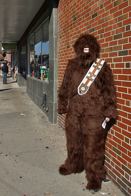 43 - Mass Ave Wookiee