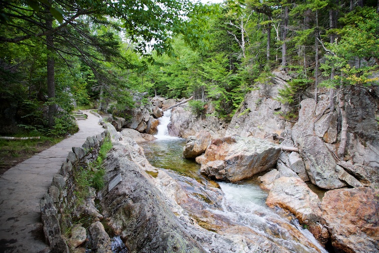 3125 - Momentum Gathers