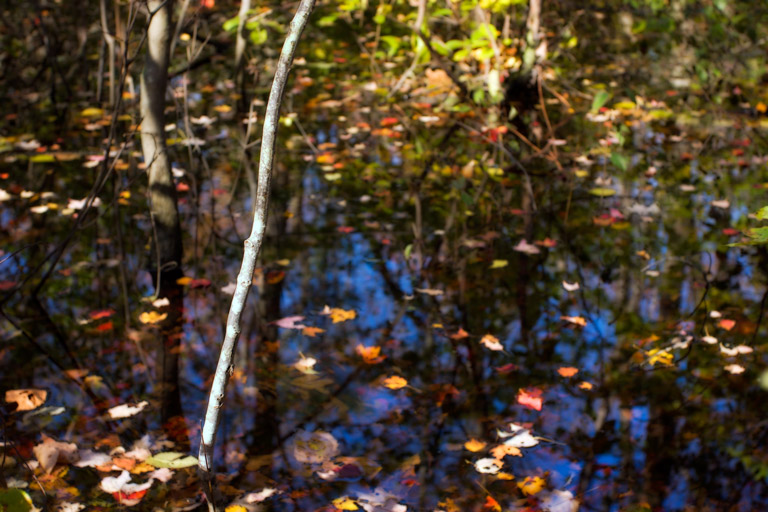 442 - Impressions Afloat