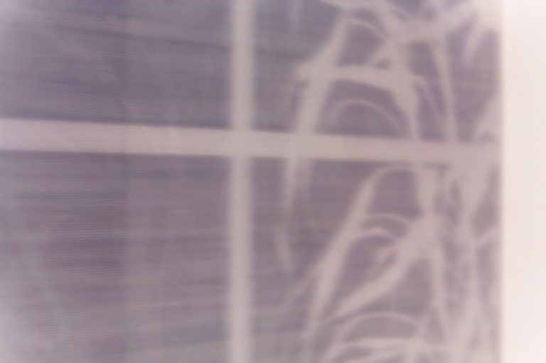 854 - Morning Screen