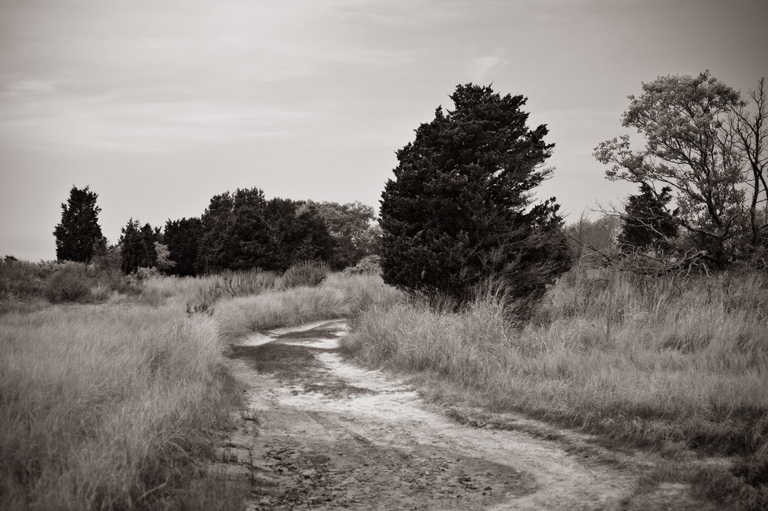 984 - An Old Beach Road