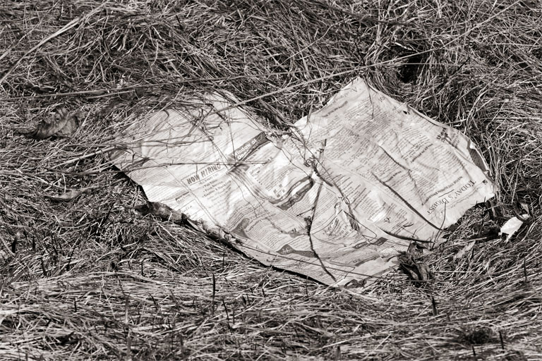 214 - Today's Digest