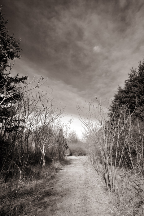 886 - Anticipation of Awakening