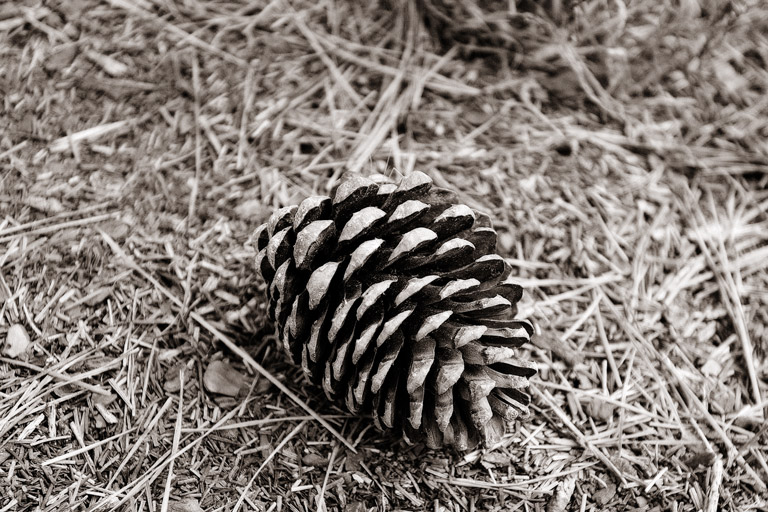 723 - Another One Down (Year Two)