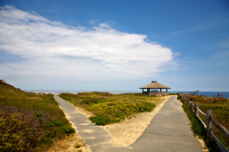 987 - Nature Reclaims Its Own