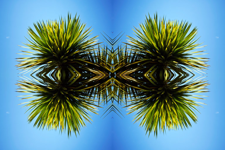 651 - Nature's Unfolding Gaze