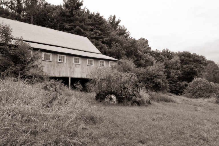 375 - Out to Pasture