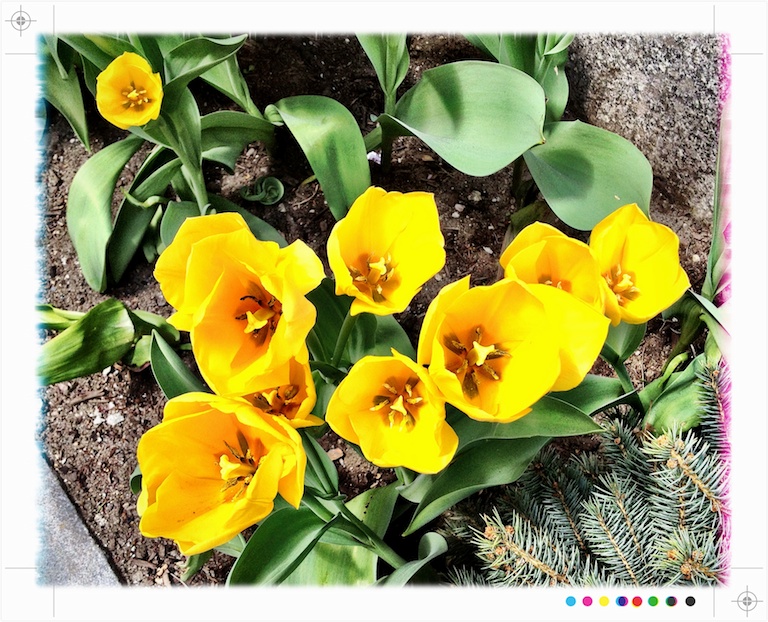 2918 - Open for Beesiness