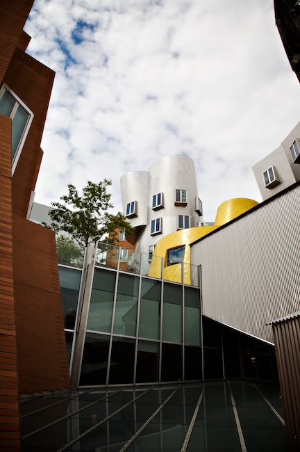 1342 - Precarious Pile (Stata Study #7)