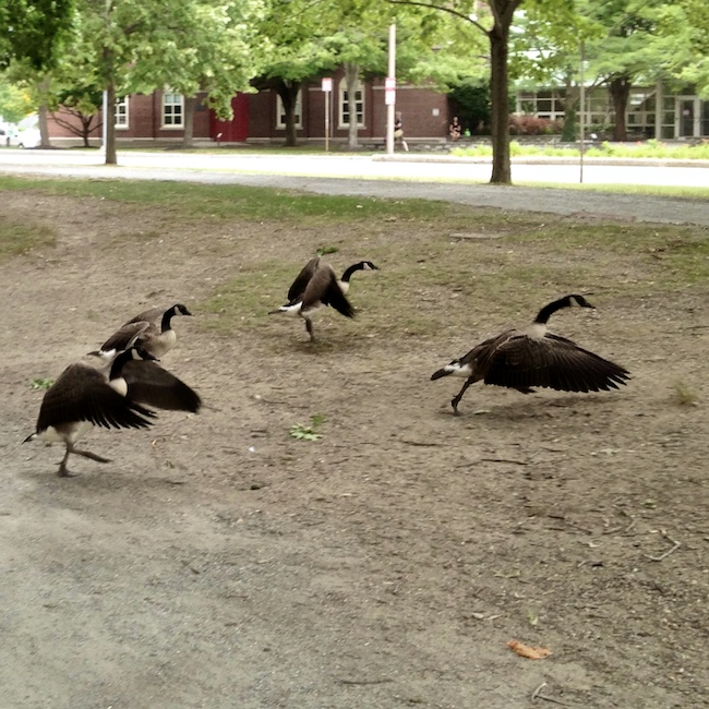 2957 - Practice Makes Perfect