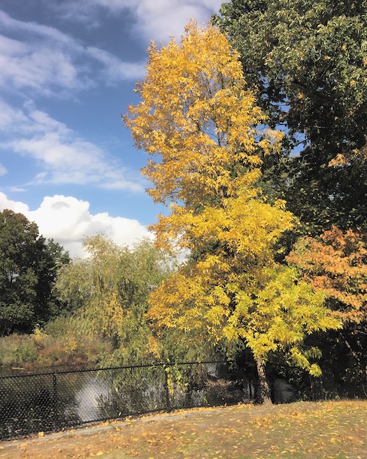 3140 - Pride of Place