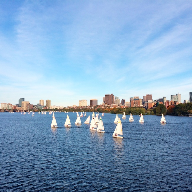 3010 - A Perfect Day for Sailing