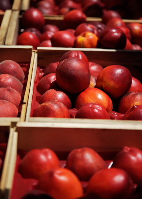 1011 - Perfect Produce