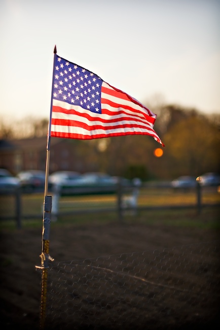 1314 - Perennial Patriot