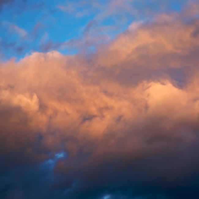 1273 - Printemps Pastel