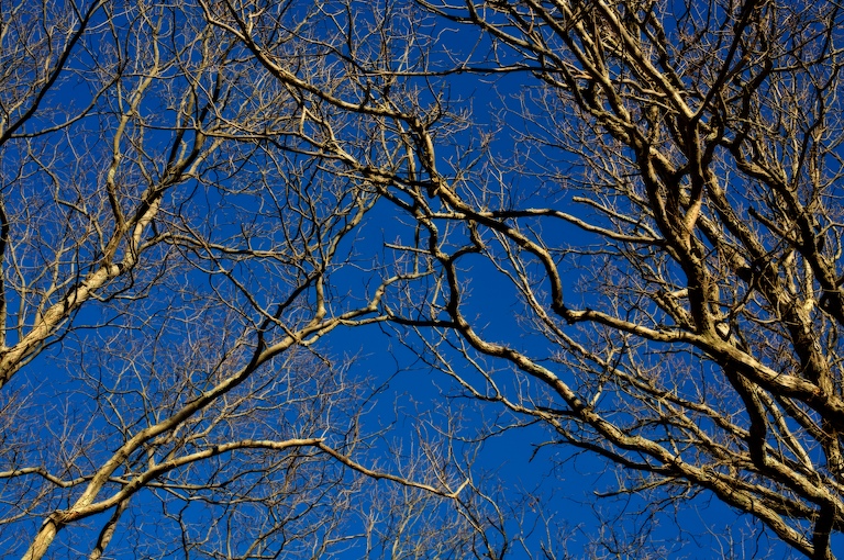 838 - Perpetual Greeting