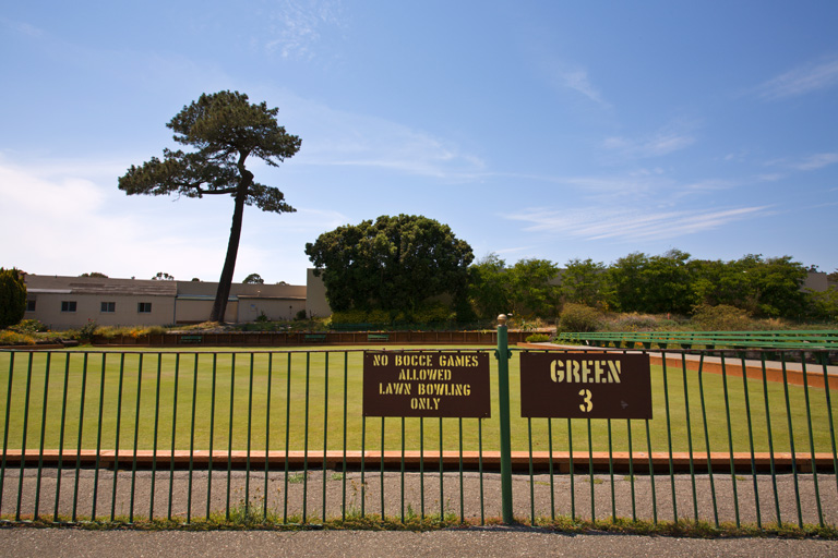 673 - Purists, Green 3