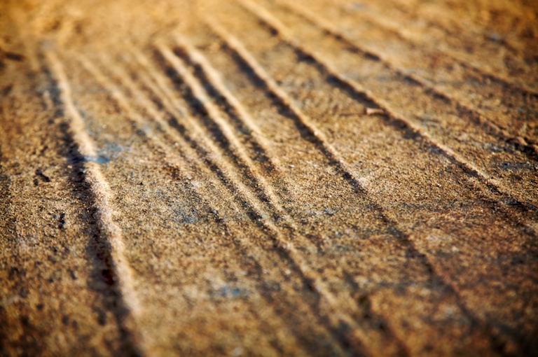 1150 - Petrified Wave