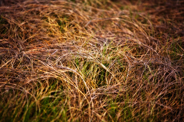 985 - A Question of Order