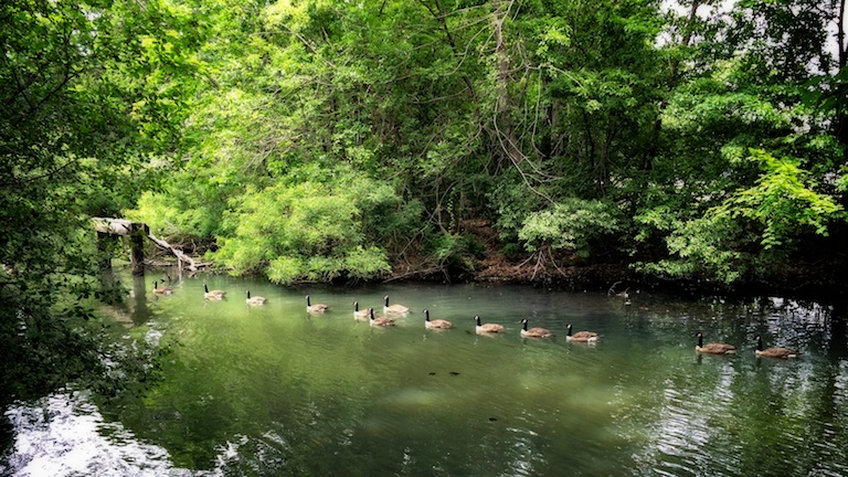 3112 - Orderly Procession