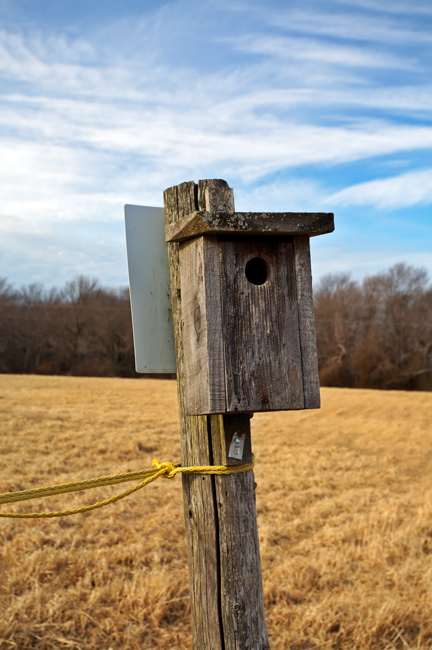 912 - Ready to Move In