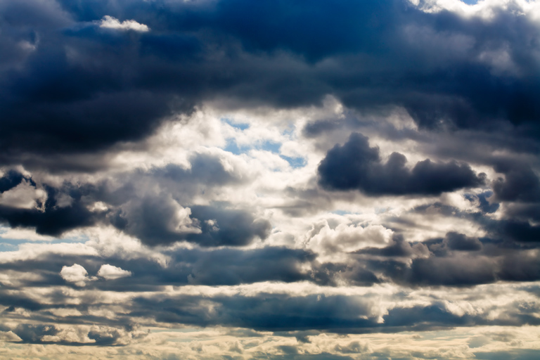 630 - Aerial Metamorphosis