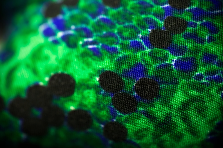 1288 - Random Fabric