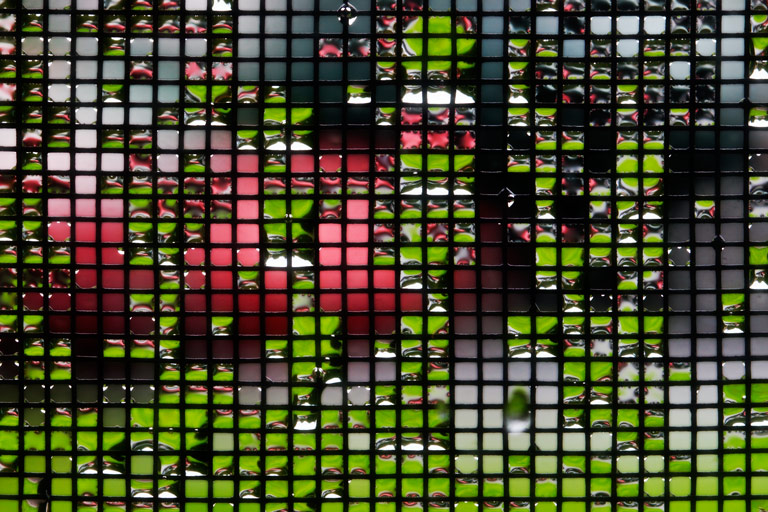 401 - Rainy Day Lens Grid