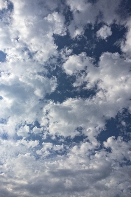 3109 - Ripening Clouds